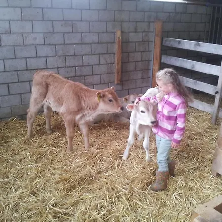 Bijou - Bioberguen By Interhome