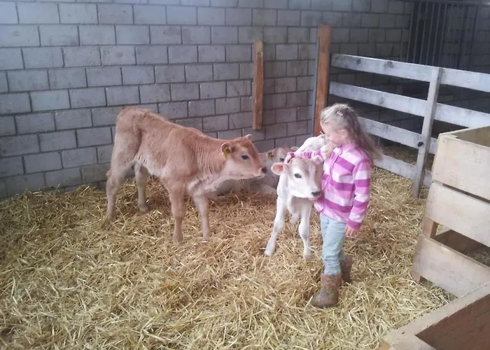 Bijou - Bioberguen By Interhome